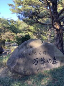 紅葉に行ってきました🍂