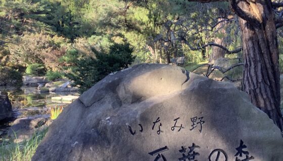 紅葉に行ってきました🍂